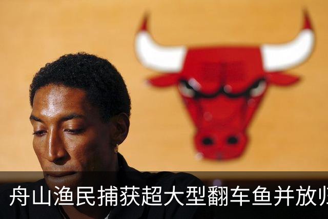 舟山渔民捕获超大型翻车鱼并放归海洋的事件分析